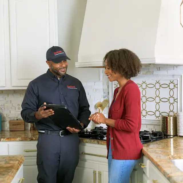 Pest control  Raccoon Pest contorl cockroaches bedbug 6479541018628637245739531215