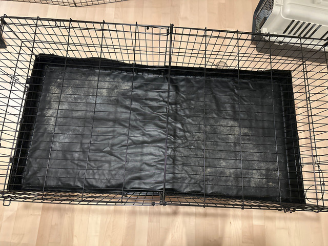 Bunny cages with 1 diveder per cage in Other Pets for Rehoming in Calgary - Image 2