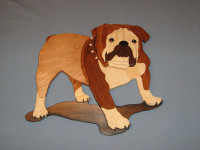 Intarsia English Bulldog