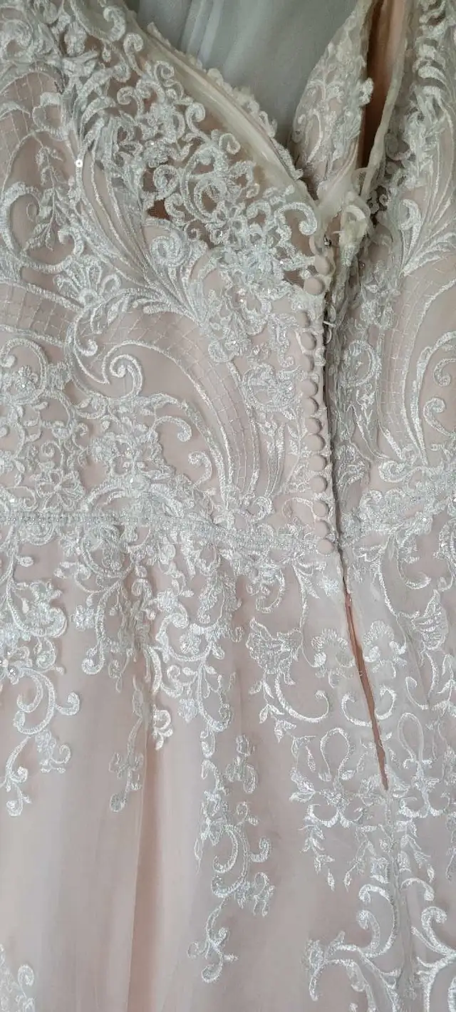 Plus Size Wedding Dress in Wedding in Cape Breton - Image 4