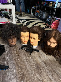  Mannequin heads for Hairstyling 