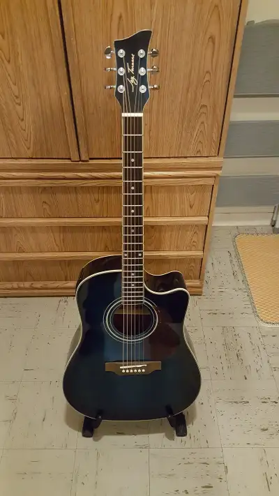 The items offered for sale are a Jay Turser, model JT-410FCE/BSB, acoustic/electric guitar and a har...