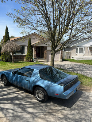 1982 Pontiac Firebird