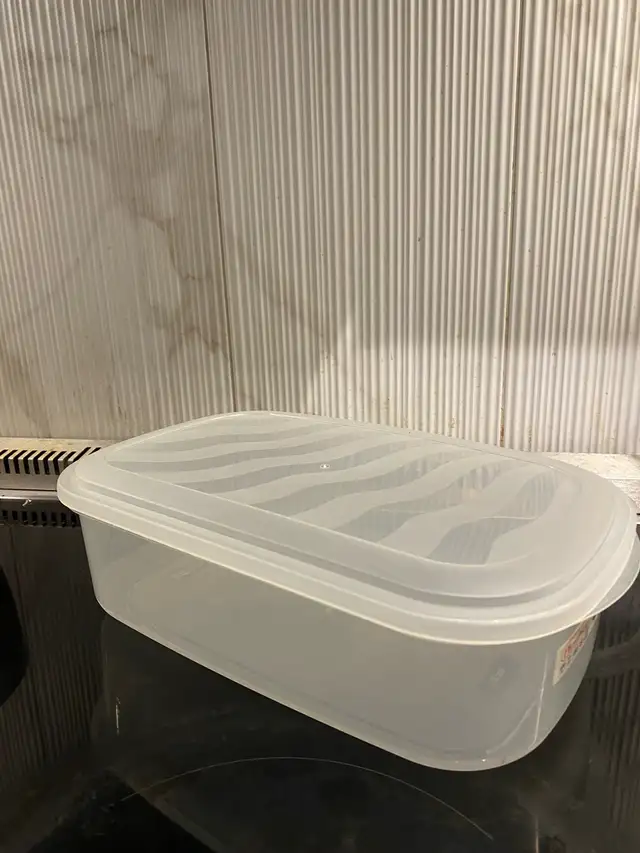 Tupperware Storage Container