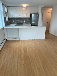 $1,850 / 1Bdr - 620ft2 - 1 Bedroom available May 1st