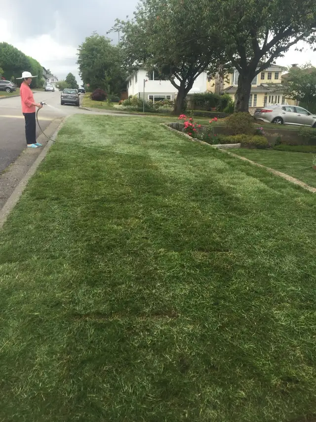 Landscaping Work62863221157890123