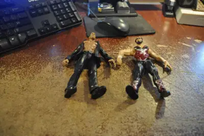 Cette annonces est pour le ou les items suivants : X PAC Titantron Live jacks pacific (TTL) Wrestlin...