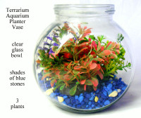 Terrarium/Aquarium/Planter/Vase clear glass blue stones 3 plants