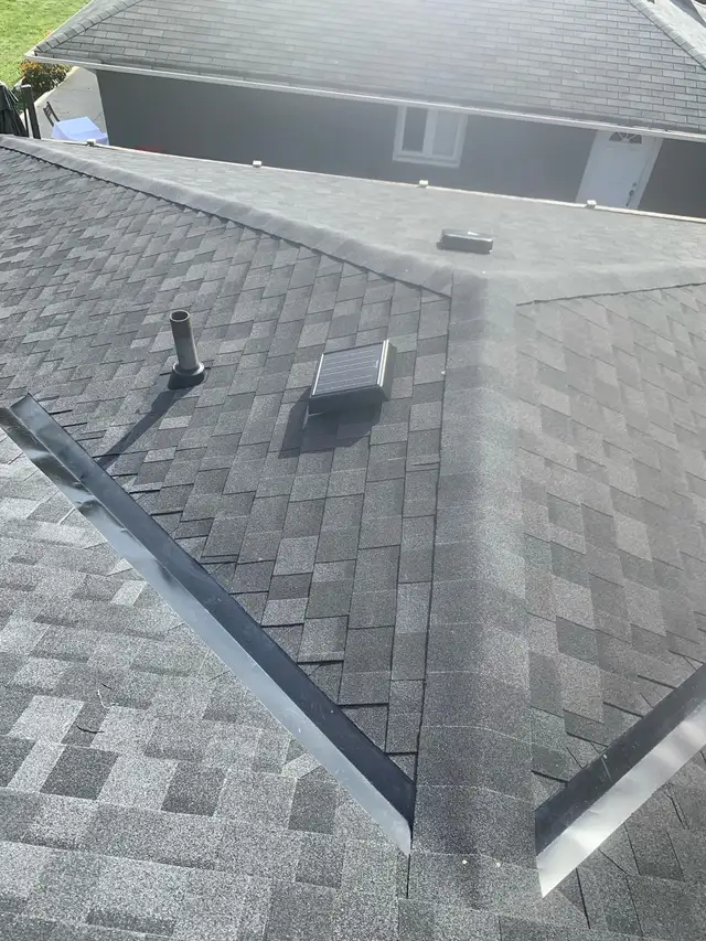Roof Repair & Shingle Replacement ( gutter cleaning)590545931103129604