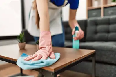 Best house cleaning and organizing service is available $35 per hour (supplies included). Services a...