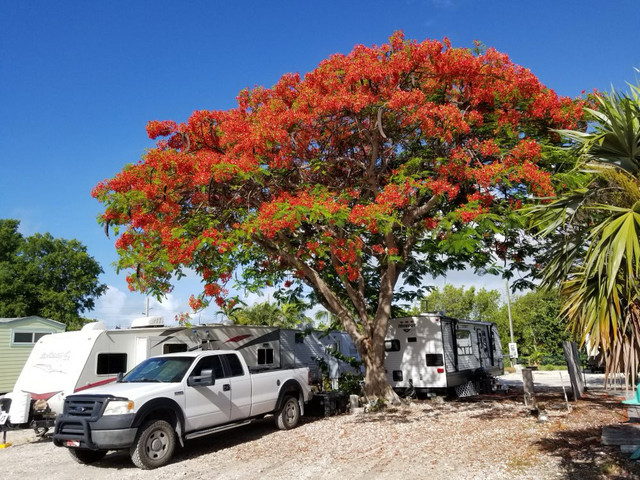 RV Lot in Florida , a must see!  dans Floride