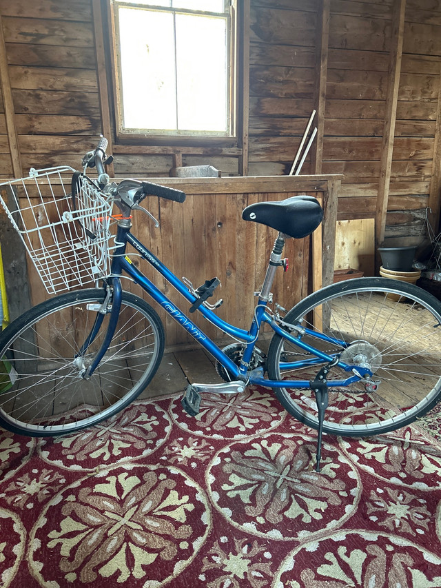 Ladies bike  in Cruiser, Commuter & Hybrid in Annapolis Valley - Image 2