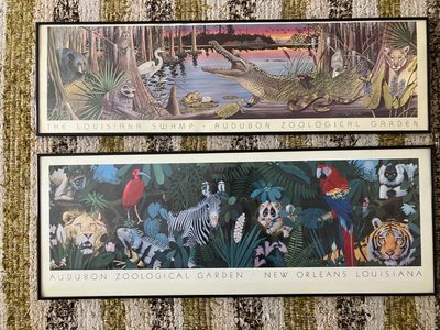 Audubon Zoological Garden Framed Posters, View more