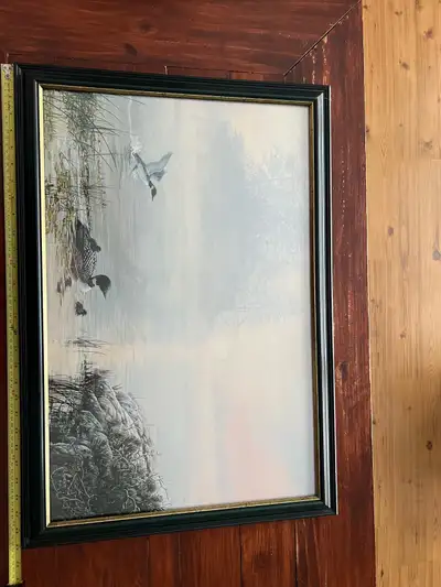 Loon Print, View more