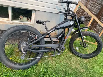 Vamoose Bobber E-bike, View more