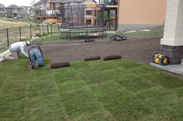 BEST PRICES ON SOD + SOIL + TREES + BLACK GRANITE + BOULDERS in Lawn, Tree Maintenance & Eavestrough in Winnipeg - Image 3