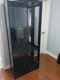 Glass and wood display cabinet