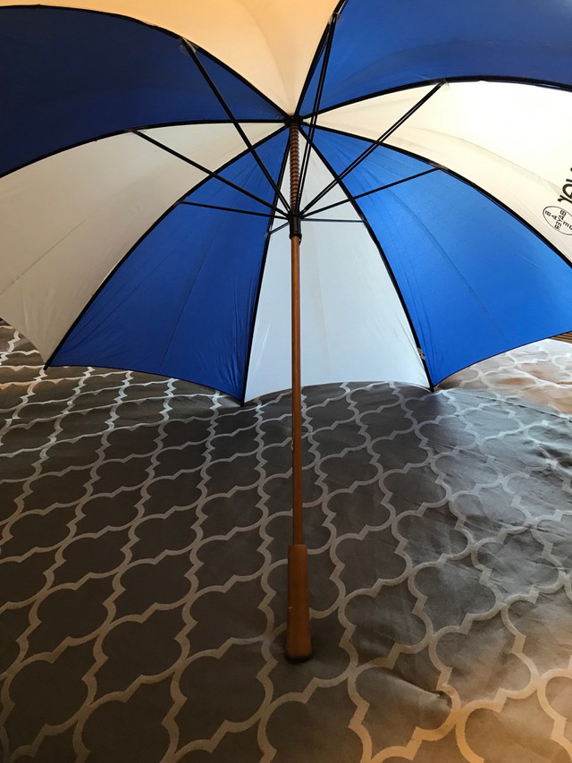 Vintage Bayer Company Umbrella.  in Arts & Collectibles in Sarnia - Image 4