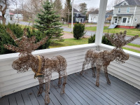 Christmas moose for yard