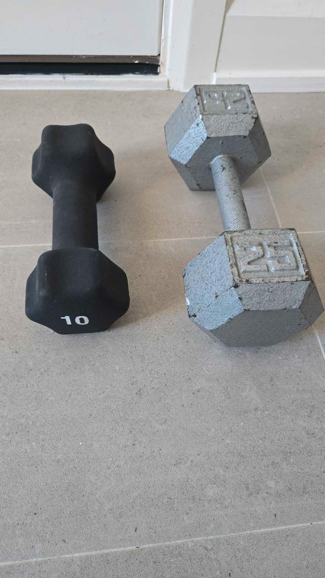 One 25lbs one 10 lbs weight in Exercise Equipment in Ottawa