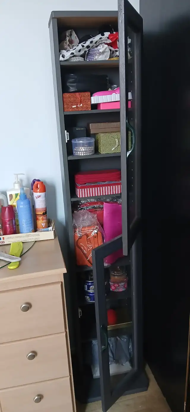 Tall narrow display cabinet or shelves in Bookcases & Shelving Units in City of Toronto - Image 3