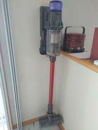 Dyson V11