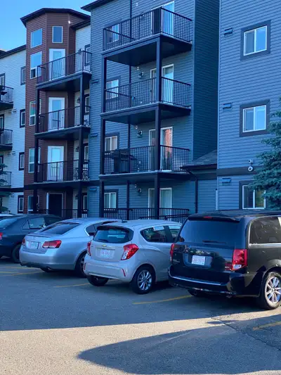One bedroom apartment for rent in silverberry.