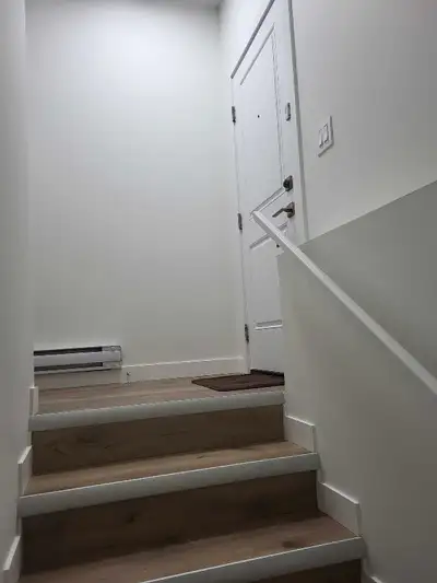 legal basement suite