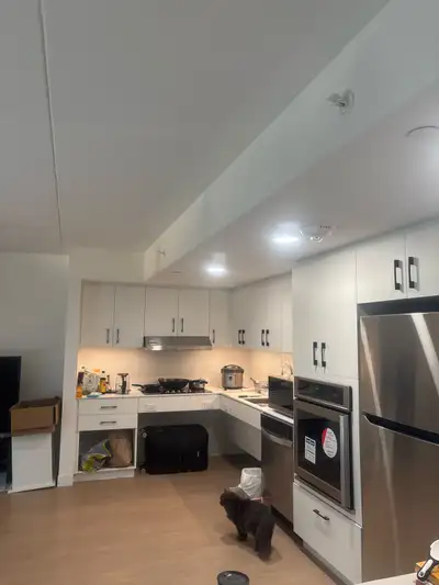 1B1B Apartment Lease Transfer