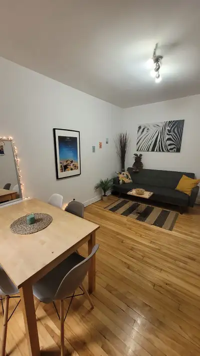 Logement à louer