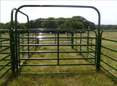 Barrières et Panneaux pour Chevaux 10'x5', View more