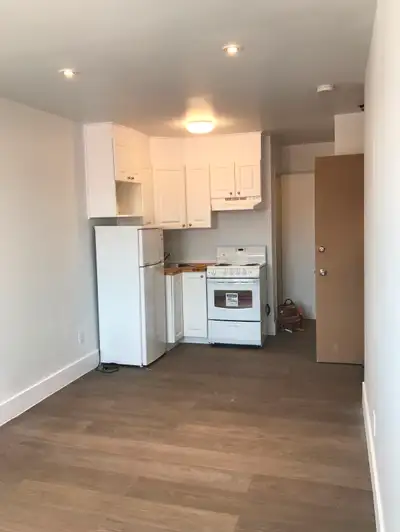 Studio renové avec salle de bain frigo et plaque cuisine, à côté du métro Acadie, université de Mont...