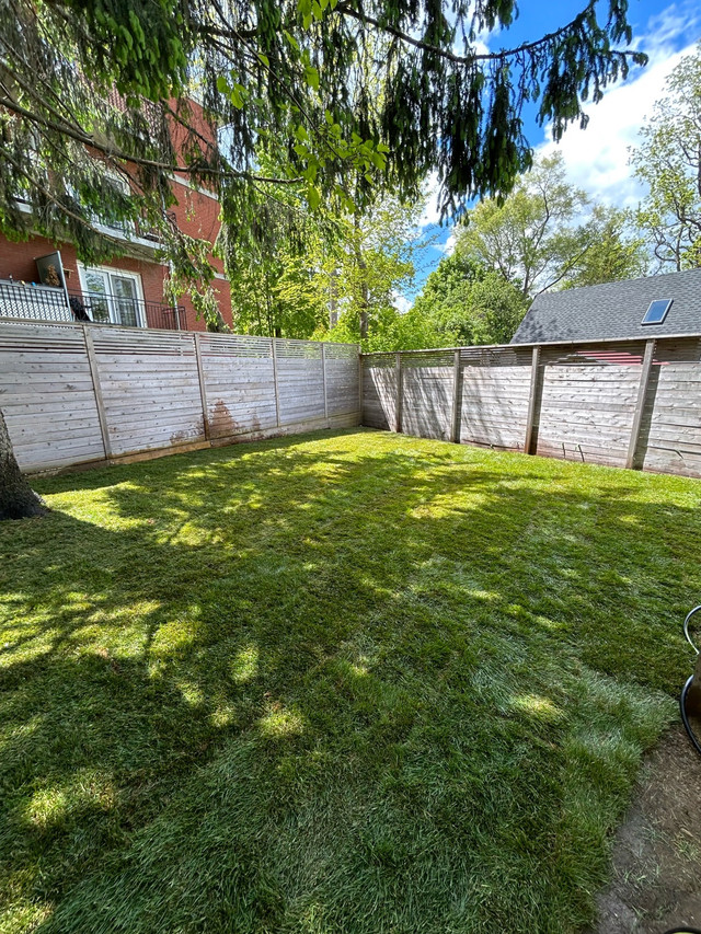 Sod the yard  in Other in Kitchener / Waterloo - Image 4