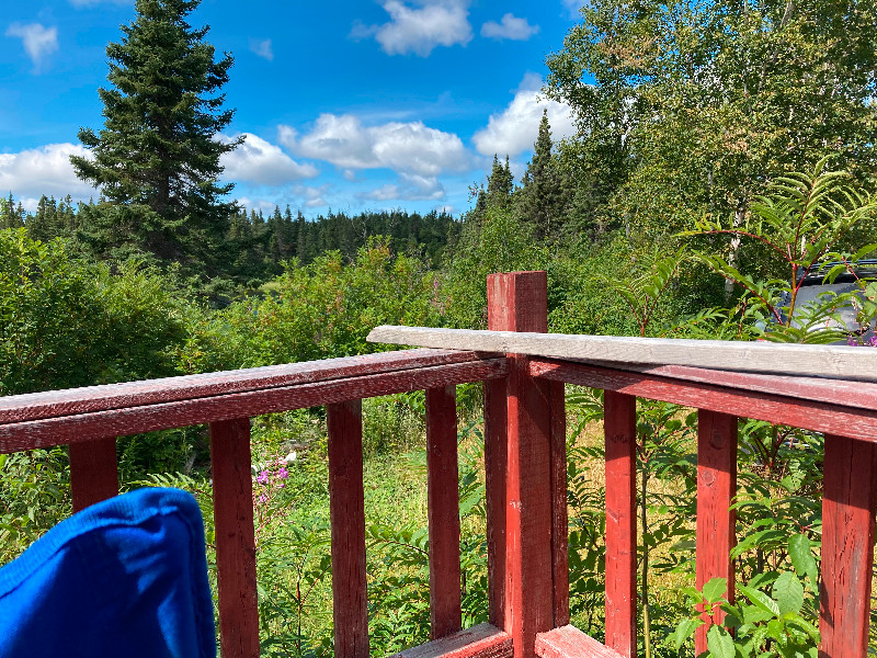 Cottage Land/Cabin 90,000 New Price Houses for Sale Corner Brook