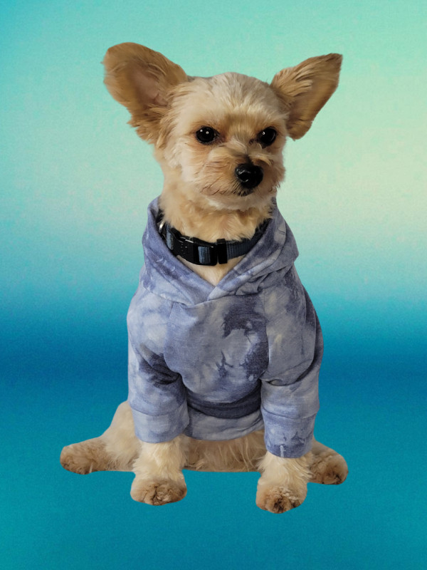 Dog clothing in Accessories in Edmonton - Image 3