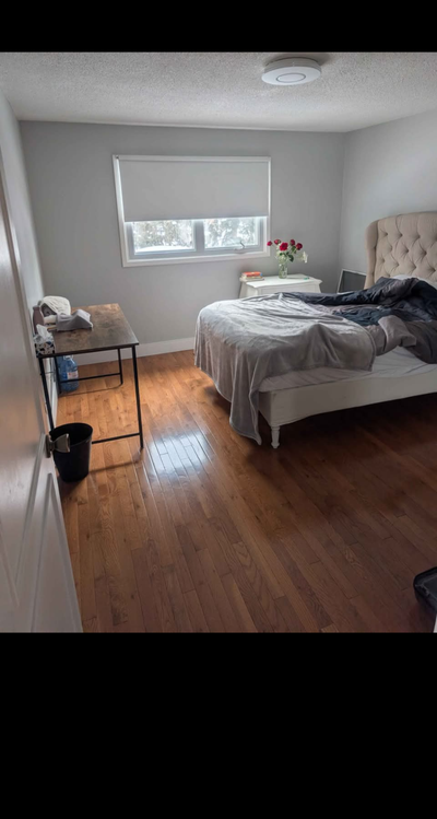 Room for rent for a female. Cawhtra/Rathburn. There are dogs in the house,They are super friendly an...