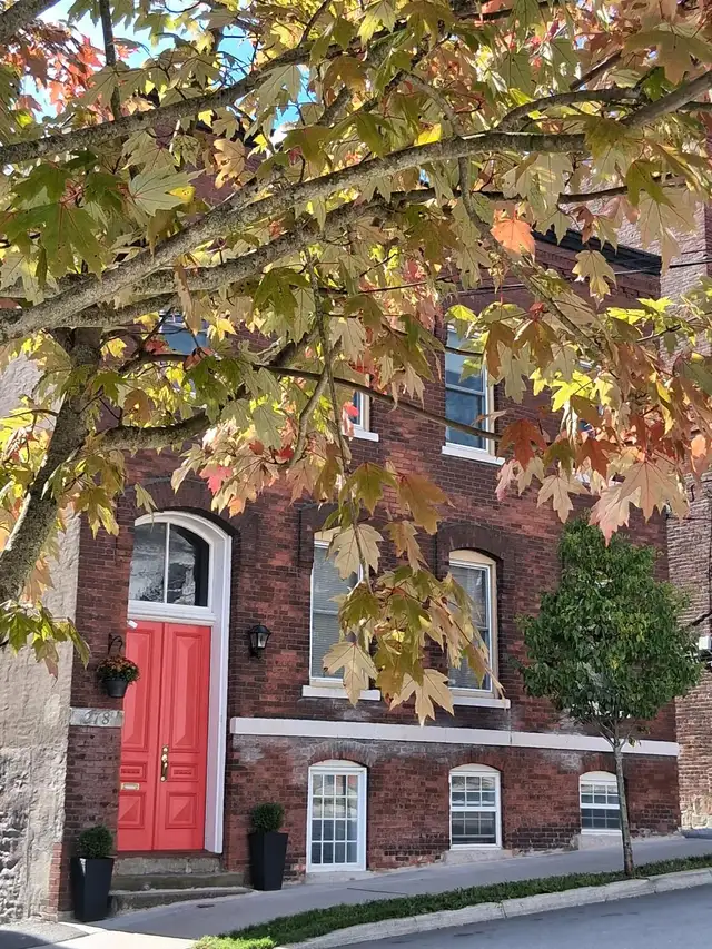 Fully furnished - 2 bedroom, 1 bath apartment uptown