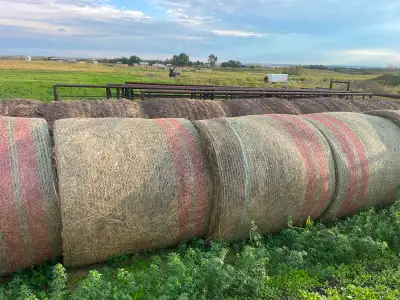 hay bales for sale, View more