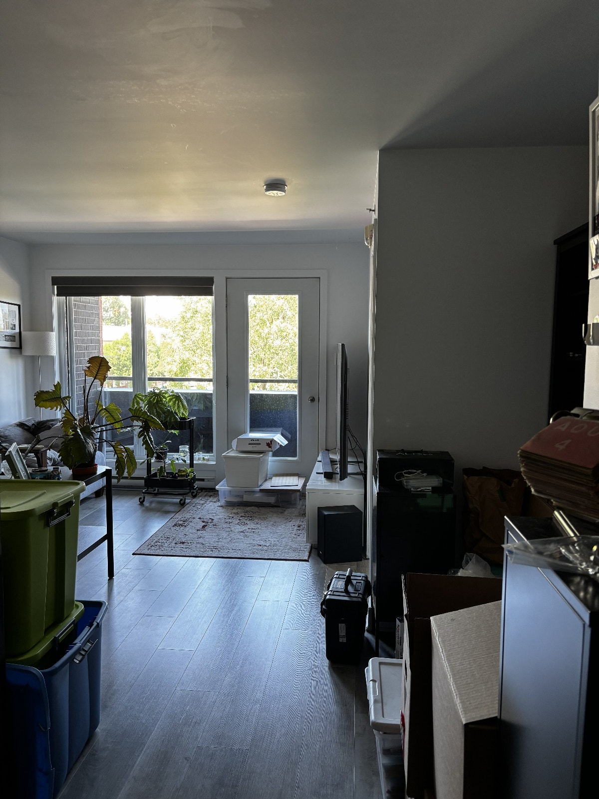 Condo 3 1/2 avec stationnement intérieur à louer — photo 1
