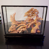 Chinese Cork Eagle Diorama