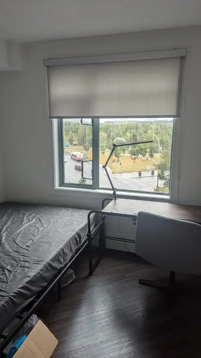 1 bedroom + own bathroom