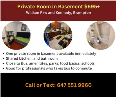 Room in Basement, Brampton