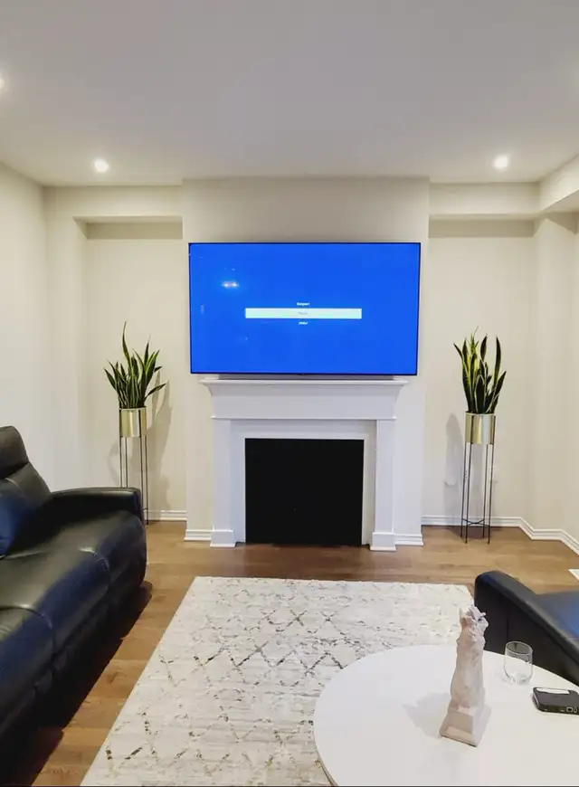 TV MOUNTING PROS499030738181171203