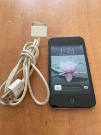 iPod & charge cable