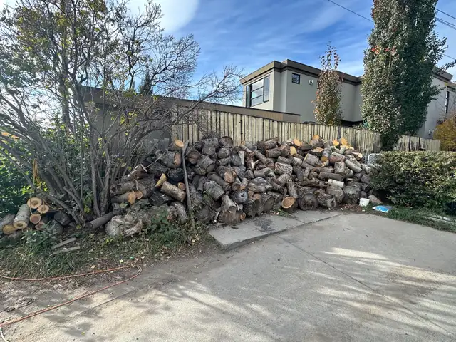 Firewood Rounds and Split Wood