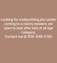 Looking for BabySitting Job