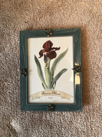 5 x 7 picture frame with flowers