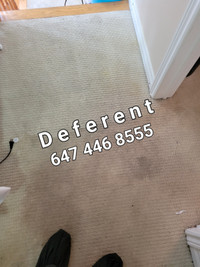 Carpet,Sofa cleaning  647446 8555 