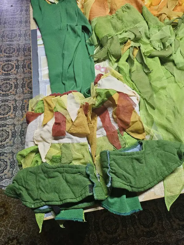 Costume Oiseau, large in Costumes in Sherbrooke - Image 5