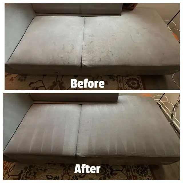 sofa & carpet shampoo 605939388908185605